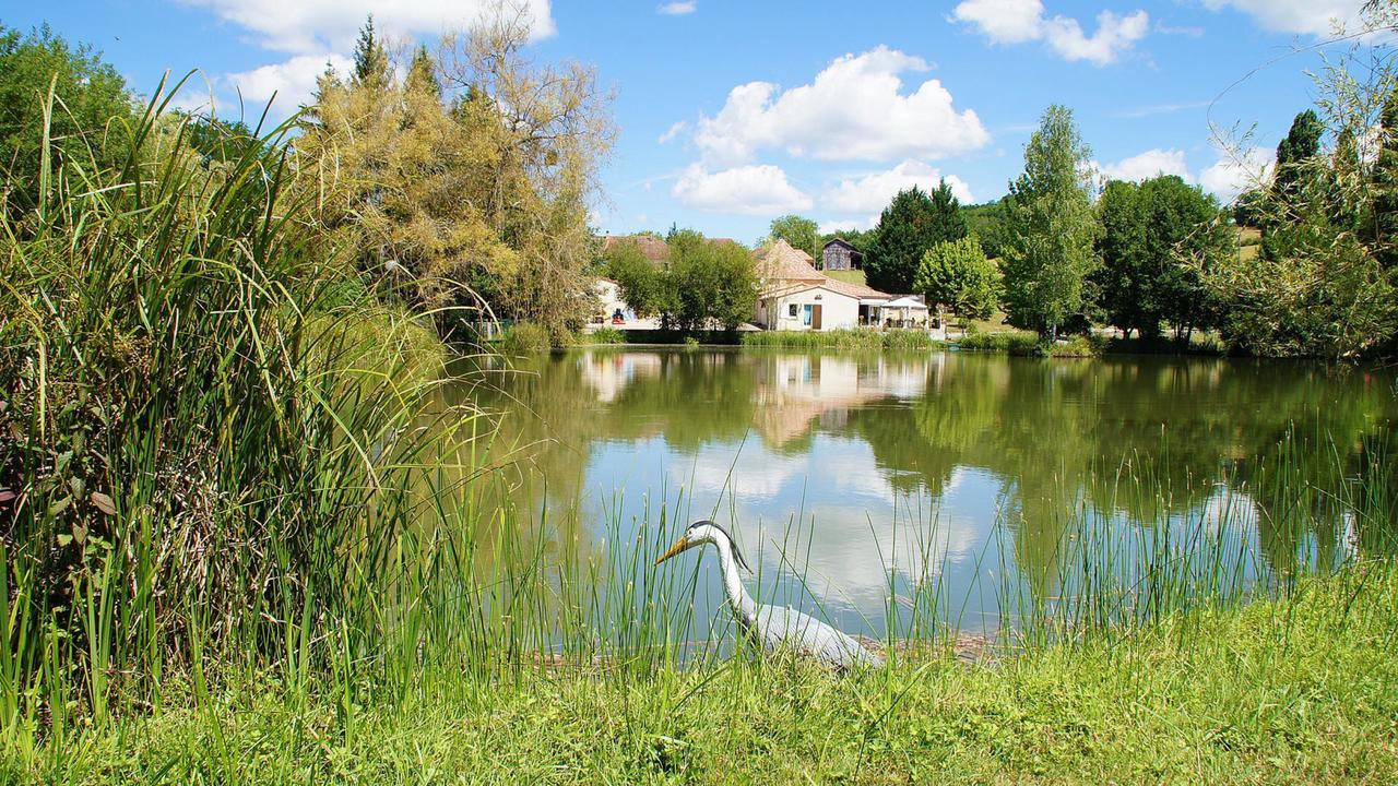 Le Domaine De L'Etang De Sandanet Bed and Breakfast Issac Eksteriør billede