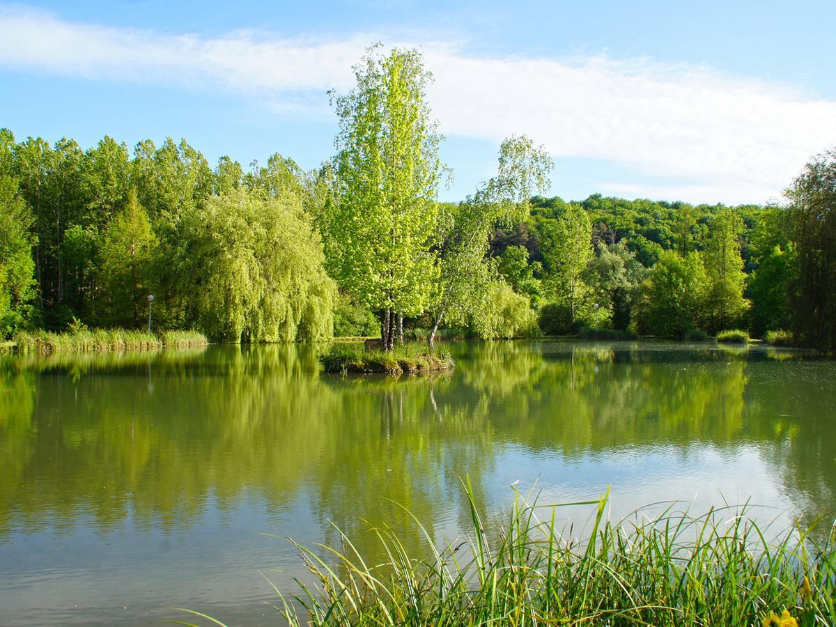 Le Domaine De L'Etang De Sandanet Issac Eksteriør billede